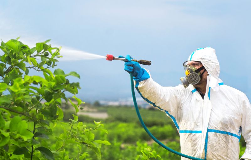 Fumigation Service in Naperville, IL