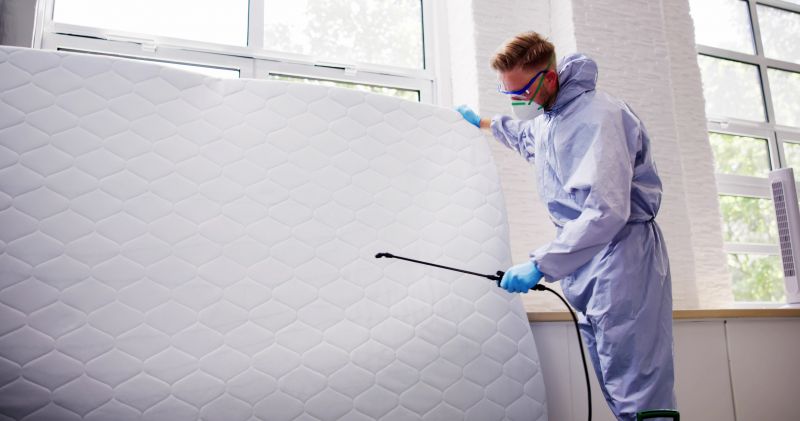 Mattress Fumigation Costs — Cost of Mattress Fumigation